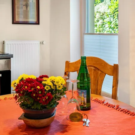 öko Silbermöwe Apartament *