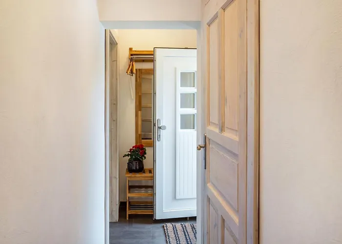 öko Silbermöwe Kiel