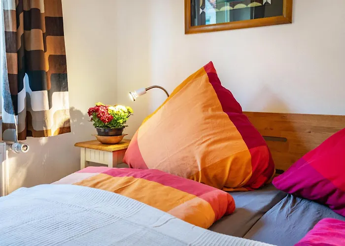 öko Silbermöwe * Kiel