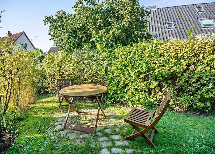 öko Silbermöwe * Kiel