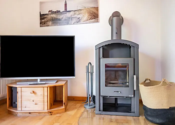 öko Silbermöwe * Kiel